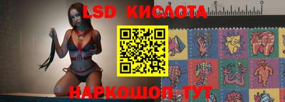 стаф Сланцы